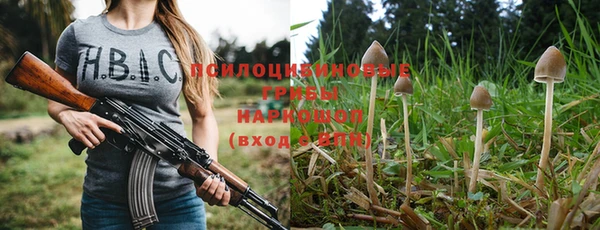 PSILOCYBIN Балабаново